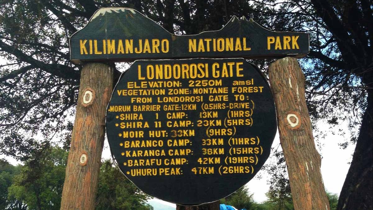 Kilimanjaro Lemosho Route 7 Days Image